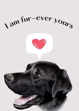 Fur-ever yours anniversary card created by Shadan Designs