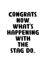 CONGRATS. NOW WHAT'S HAPPENING WITH THE STAG DO created by You can't say that out loud