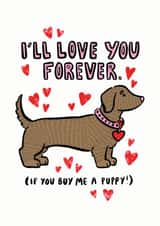Dachshund valentine's day card created by Kate Wand