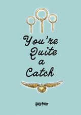 Cute and Funny Valentine's Card - You're Quite a Catch - Harry Potter created by Cardology