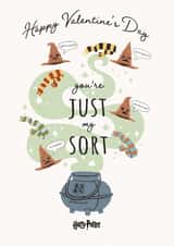 Cute Valentine's Card - You're Just My Sort - Harry Potter created by Cardology