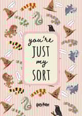 Funny Valentine's Day Card - You're Just My Sort - Harry Potter created by Cardology