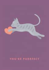 Cat Lover's Valentine created by X, Y & Z Design