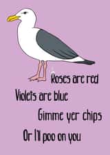 Seagull valentines created by Flinks Designs