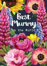  A pretty floral 'Best Mummy in the World' Mother's Day Card created by Sarah Kelleher