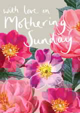 Pretty Pink Flowers Mother's Day Card created by Sarah Kelleher