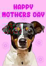 Cute Mothers Day Card - Mum - Jack Russell - Happy Mother's Day created by @annaelizabethdesigns