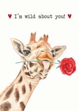 Wild about you giraffe valentines card created by Paint & Ralph