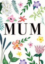 Pretty Birthday/Mother's Day Card - Flowers - For Her created by Holly Greenwood