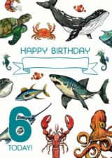 Personalised Happy 6th Birthday Sealife Card created by Life's Little Doodles