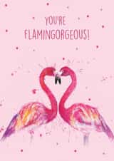 You're Flamingorgeous Valentines Card created by Splatterworks