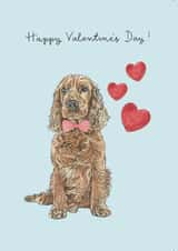 Cocker Spaniel Valentine's Day Card created by Amelia Ilangaratne