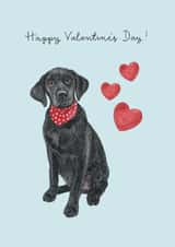 Black Labrador Valentine's Day Card created by Amelia Ilangaratne