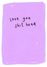 Love you shit head card created by Sarah Shields Studio