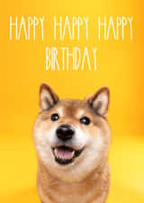 Happy Dog Birthday Card created by The Yorkshire Pawtrait Co.
