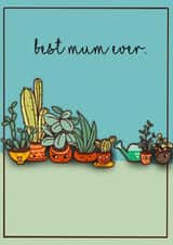 Best plant mum ever created by Pippins post cards 