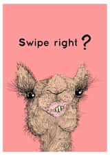 Swipe Right Valentines Card created by The Ricketty Desk