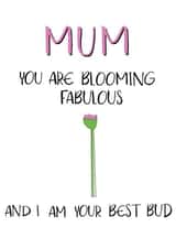 Blooming fabulous mum card created by Emily Hunter