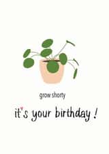 Grow Shorty plant birthday card,Plant Lover birthday card created by TheFishBirdCo