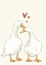 Duck Valentines Day Card created by Becca Hall illustration