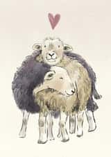 I Love Ewe! created by Becca Hall illustration
