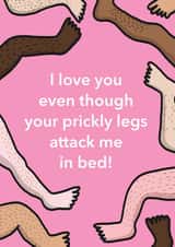 Prickly Legs Valentines Card created by Bronte Laura Illustration