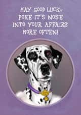 Lucky created by Atmosferna