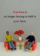 True love farts created by Bold & Bright Cards