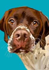 Point at you created by Higgledy Pets