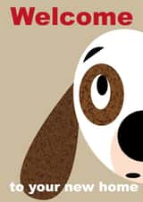 Welcome to your new home created by John Haslam