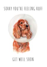 Get Well Soon, Dog Card  created by GiFlynn Design