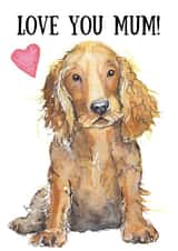 Cocker Spaniel Mothers Day Card created by Kate Garrett