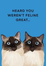 Heard you weren’t feline great created by Millie Rae Studio