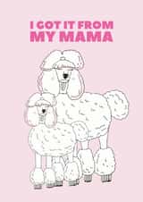 Funny Mothers Day Card - Poodles - Dog - I Got It From My Mama created by Pearl Ivy