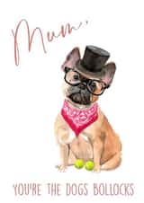 Mum, you’re the dogs bollocks! created by 25Seven