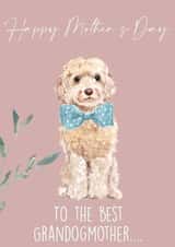Cute Mothers Day Card - Dog Grandmother - Cockapoo / Labradoodle - To The Best Grandogmother created by 25Seven