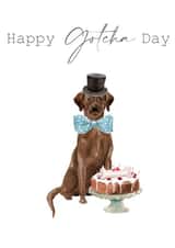 Happy gotcha day created by 25Seven