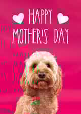 Cute Mothers Day Card - From The Dog - Cockapoo - Happy Mother's Day created by The Yorkshire Pawtrait Co.