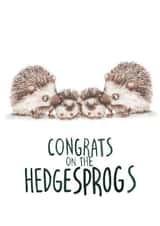 Twin Hedgesprogs Card created by Citrus Bunn