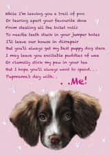 Puppy poem ‘pupmama’s’ Mother’s Day card  created by Georgia-mae  Stewart 