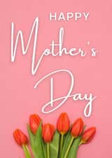 Happy Mother's Day 1001 created by Three Bears