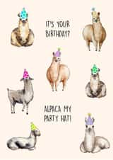 Cute Birthday Card - Funny Pun - It's Your Birthday? Alpaca My Party Hat created by Poppy & Mabel 