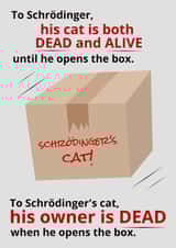Schrodinger's Cat created by Sarcastic Notebooks