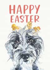 Lurcher and Baby Chick Easter Card created by Jo Scott Art