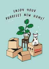 Cute Cat Pun New Home Card - Cat - Cheese Plant - Enjoy Your Purrfect New Home! created by Lucy Marie Design