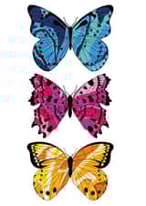 Butterfly Trio created by Pink & Peach