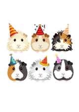 Guinea Pigs in Party Hats created by ByNatalieAnne