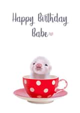 Happy Birthday Babe Card created by Yamaste Art