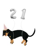 21st Birthday Sausage Dog  created by Wire and Smooth