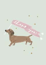 Sausage Dog Thank You Card With Dachshund illustration created by Honey & Velvet Studio